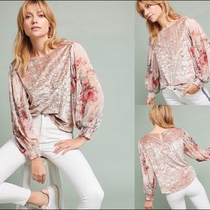 Anthropologie Meadow Rue Blush Floral Velvet Blous